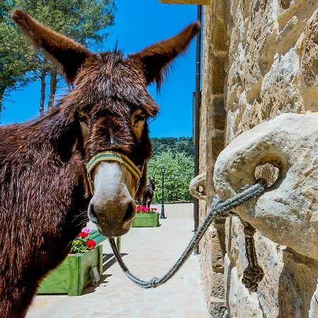 Bed and breakfast La Quercia E L'asino 3*