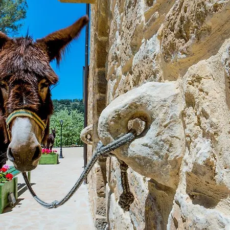 La Quercia E L'asino Bed & Breakfast 4*