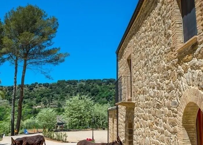 La Quercia E L'asino