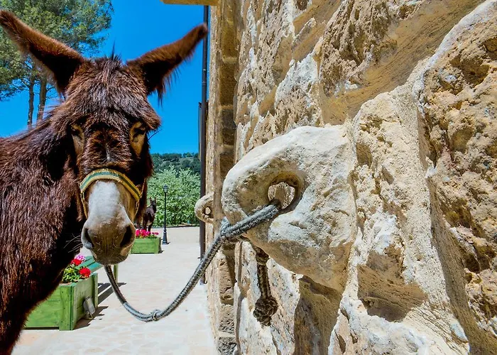 La Quercia E L'asino Bed & Breakfast 4*