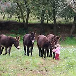 La Quercia E L'asino 4*