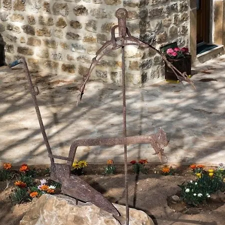 La Quercia E L'asino بياتْسا أرمارِنا