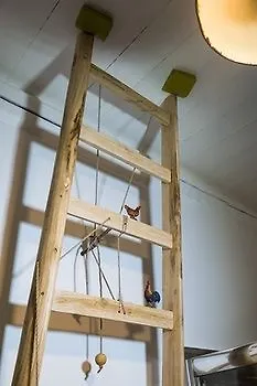 La Quercia E L'asino Piazza Armerina